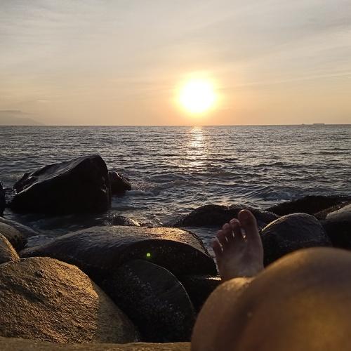 Photo #3528312