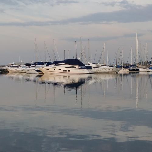 Photo #3528482