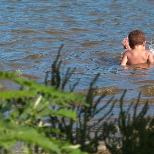 Photo #3528492