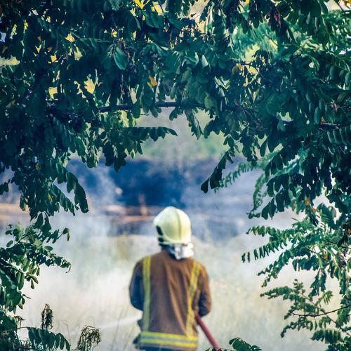 Фотография #3528876