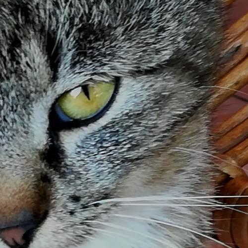 Photo #3528934