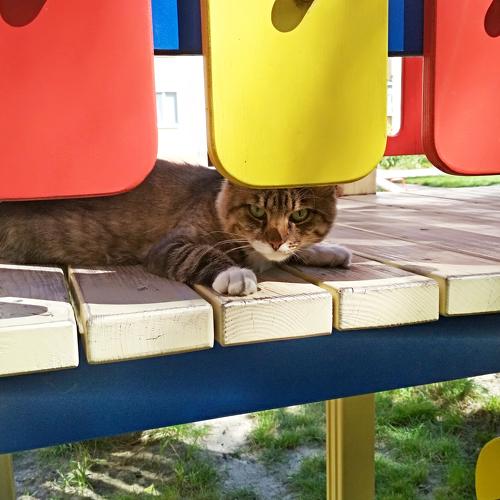 Photo #3529040