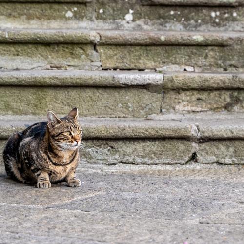 Photo #3529661