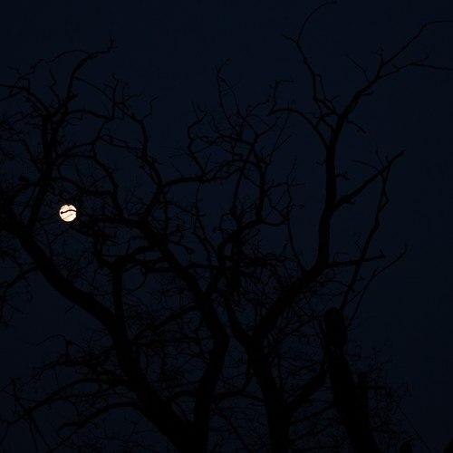 Photo #3529836