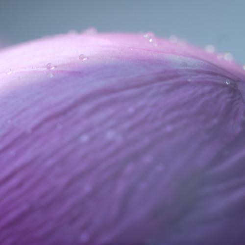 Photo #3529912
