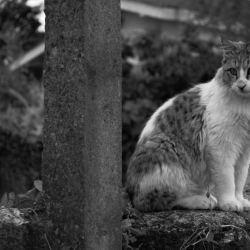 Photo #3530078
