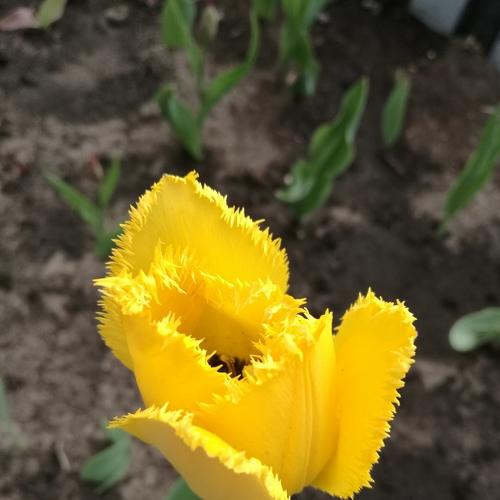 Photo #3530273