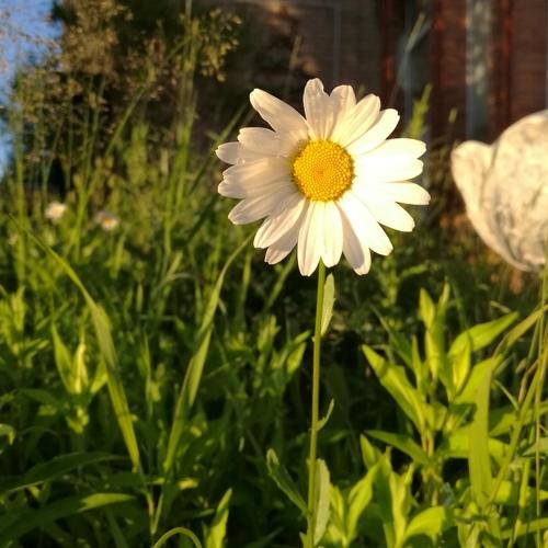 Photo #3530282
