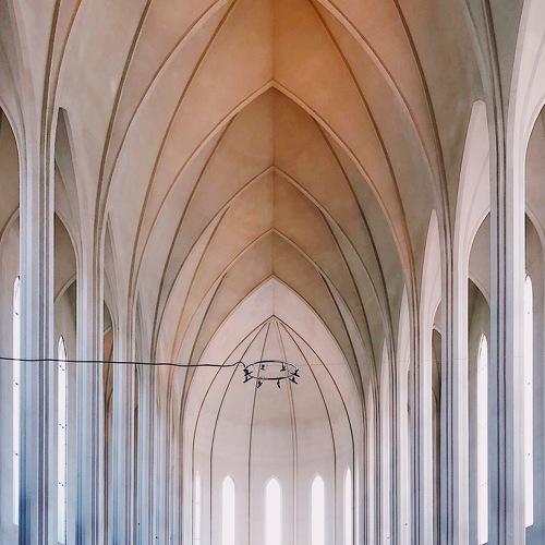 Photo #3530493