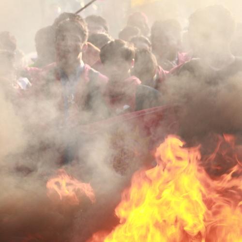 Photo #3530664