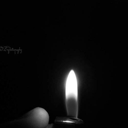 Photo #3530780