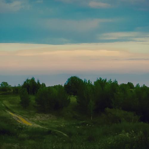 Photo #3531002