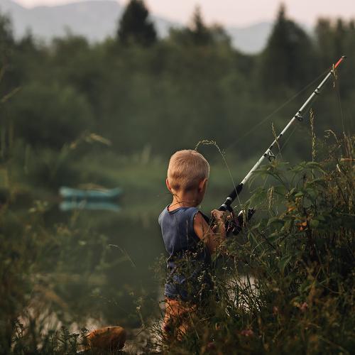 Photo #3531174