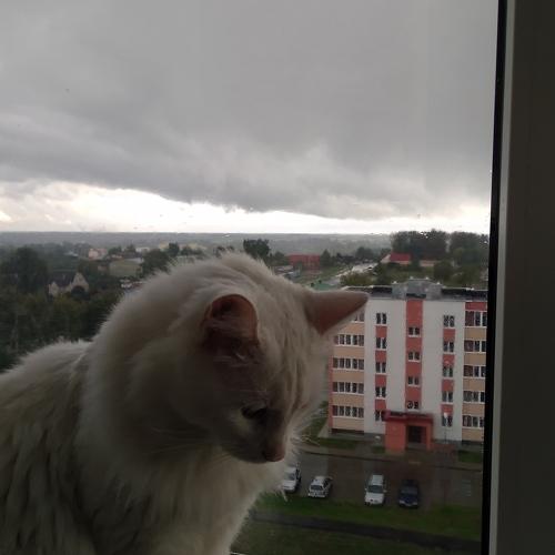 Photo #3531280