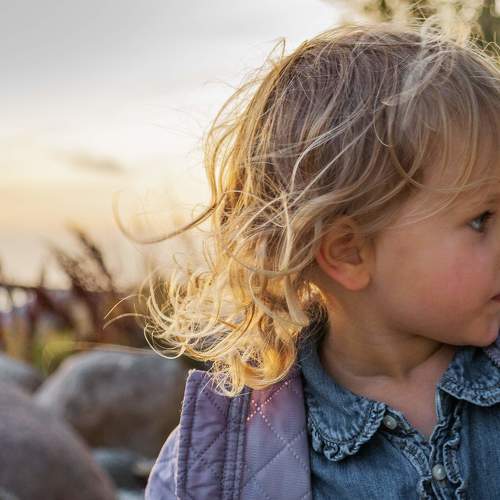 Photo #3531308