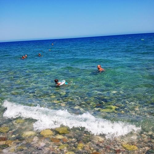 Photo #3531756
