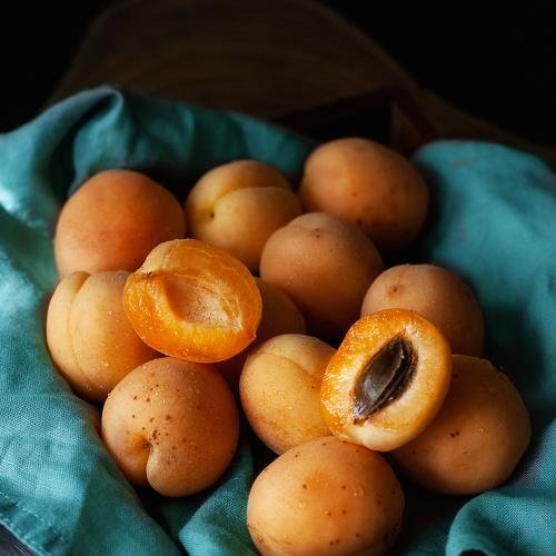 Photo #3531895