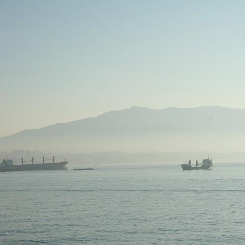 Photo #3532065