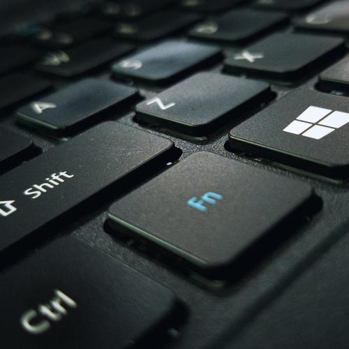 Photo #3532518