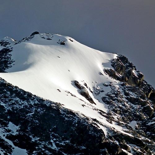 Photo #3532556