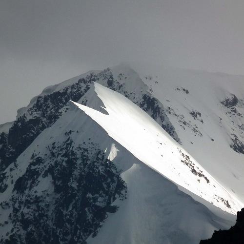 Photo #3532558