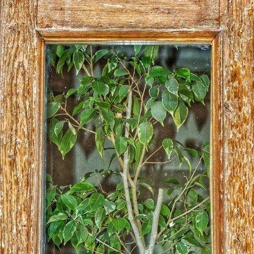 Photo #3532640