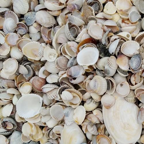 Photo #3533160