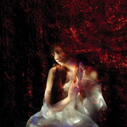 Photo #3533188