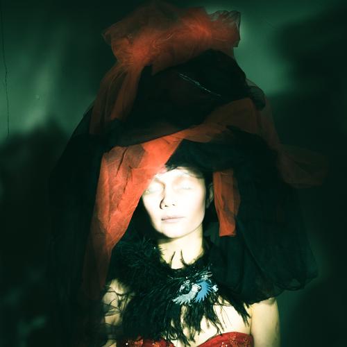 Photo #3533189