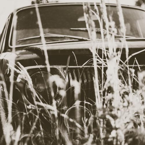Photo #3534109