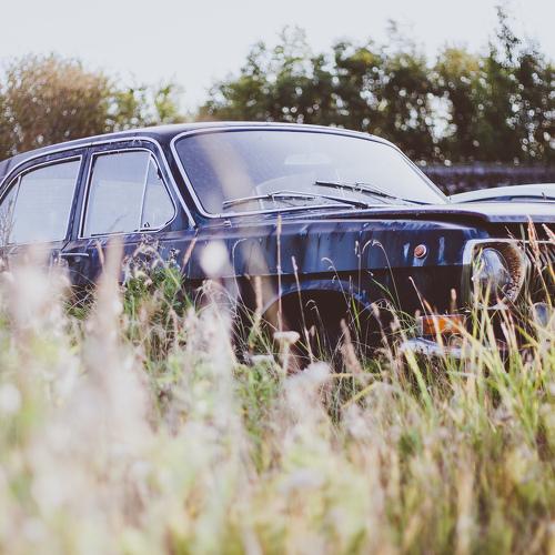Photo #3534111