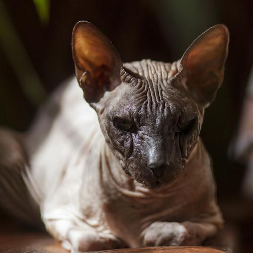 Photo #3534153