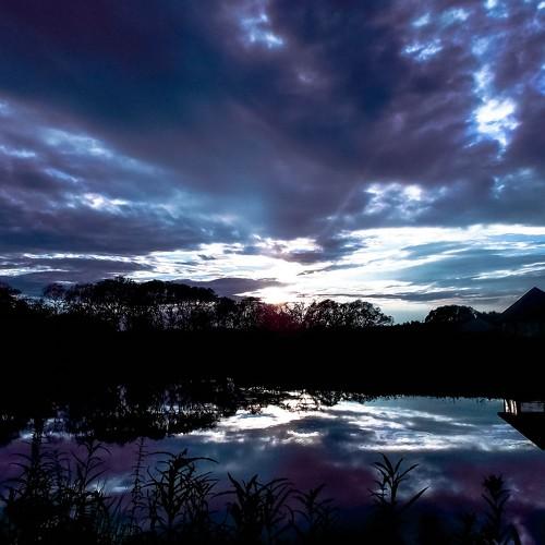 Photo #3534416
