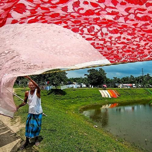 Photo #3534471