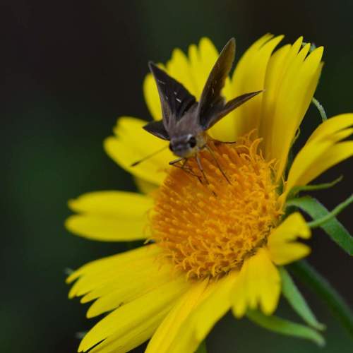 Photo #3534672