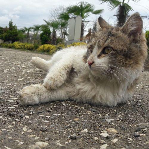 Photo #3534725