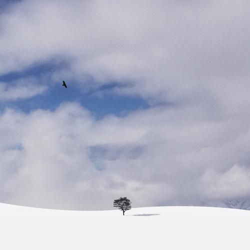 Photo #3534757