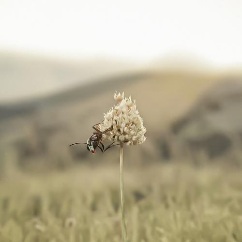 Photo #3534765