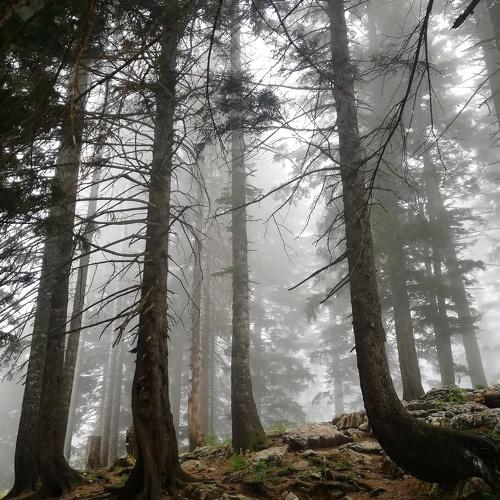 Photo #3535476