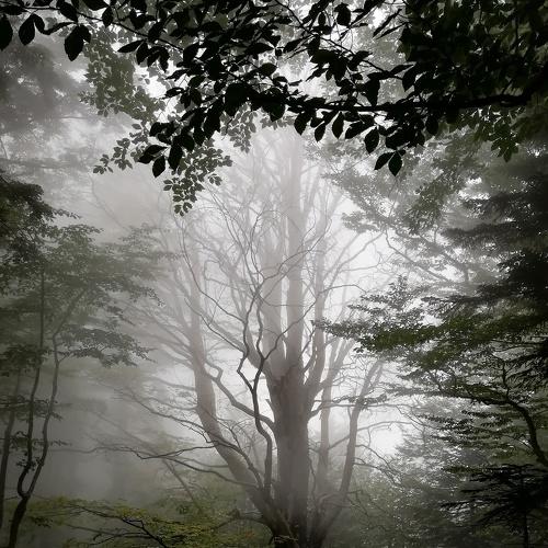Photo #3535478