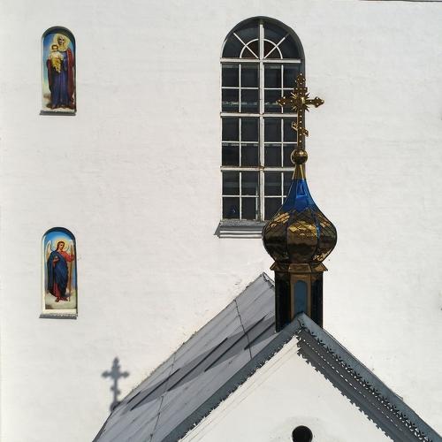 Photo #3536119