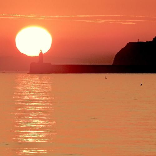Photo #3536211