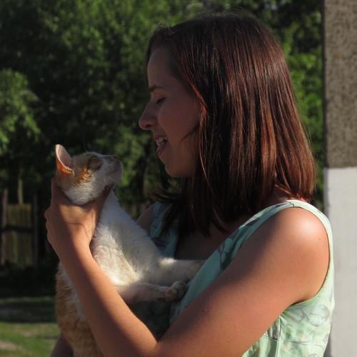 Photo #3536322