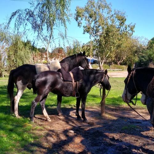 Photo #3536348