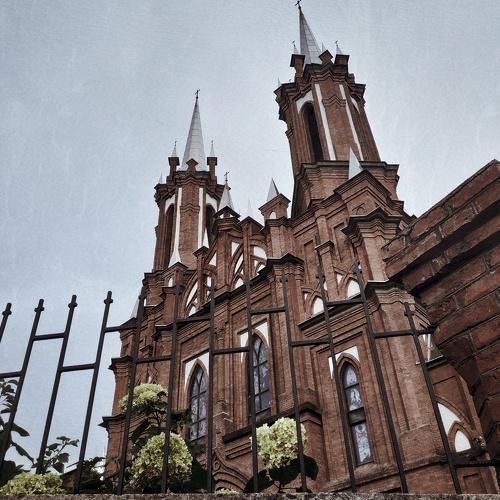 Roman Catholic Church