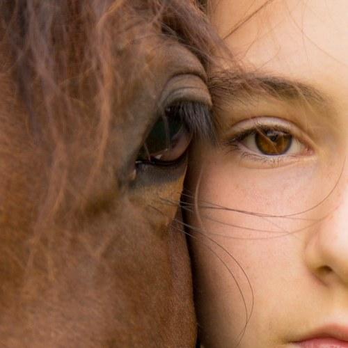 Photo #3536749