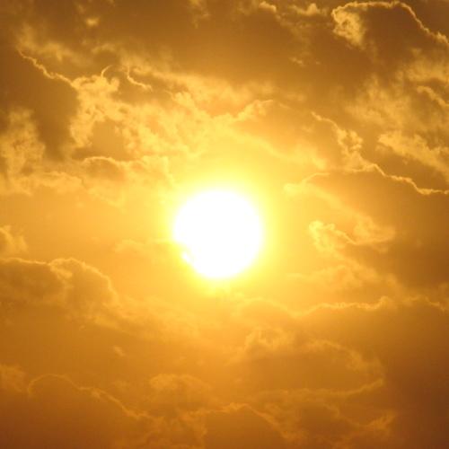 Photo #3536904