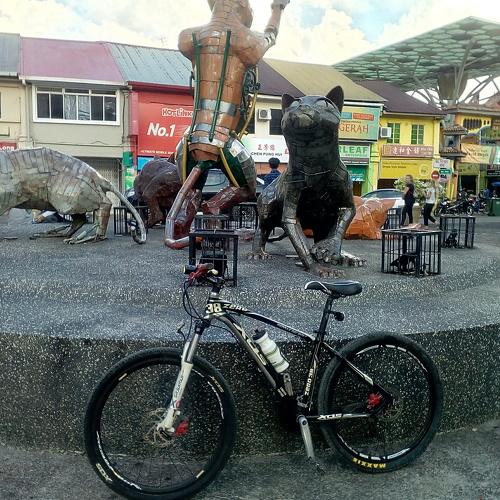 Photo #3537020
