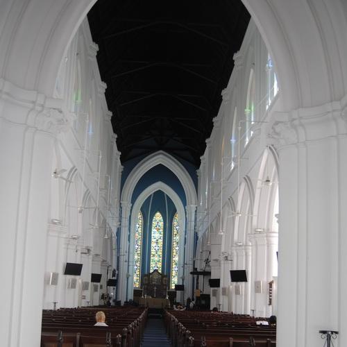 Photo #3537653
