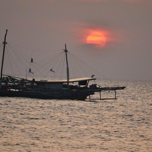 Photo #3537654